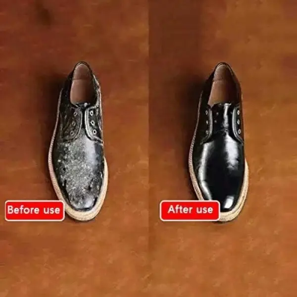 Automatic Induction Shoe Polisher, Portable Electric Cleaner with Stainless Steel Brush for Dust Removal and Polishing Leather Shoes, Easy Use Home Care Kit