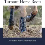 LeMieux Turnout Horse Boots - Protective Gear and Training Equipment - Equine Boots, Wraps & Accessories