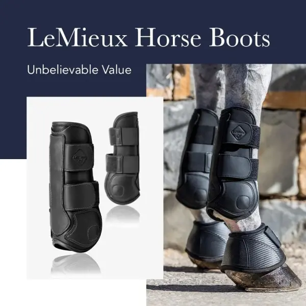 LeMieux Impact Responsive Horse Tendon Boots - Protective Gear and Training Equipment - Equine Boots, Wraps & Accessories - Tendon Protection and Support (Black/Large)