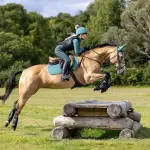 LeMieux Carbon Air XC Cross Country Hind Horse Boots - Protective Gear and Training Equipment - Equine Boots, Wraps & Accessories (Black/Medium)
