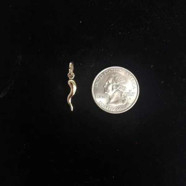 Ioka 14K Yellow Gold Cornicello Italian Horn Necklace Good Luck Charm Pendant with 0.8mm Box Chain