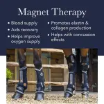 LeMieux Magno Horse Boots - Magnetic Therapy Conductive Boots Protective Gear and Training Equipment - Equine Boots, Wraps & Accessories