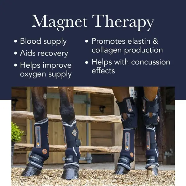 LeMieux Magno Horse Boots - Magnetic Therapy Conductive Boots Protective Gear and Training Equipment - Equine Boots, Wraps & Accessories