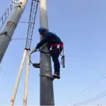 Professional Tree Climbing Spikes - Upgraded 400D Non-Slip Foot Buckle Shoes for Electricians, Comfortable, Safe & Stable Pole Climbing Gear for Tree Services