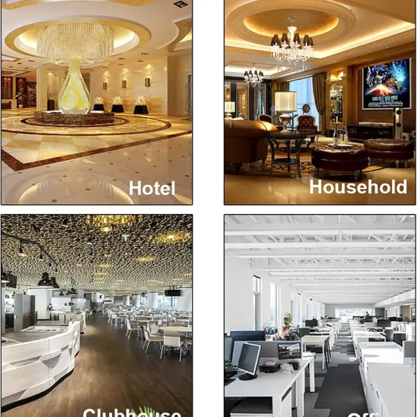 Hotel Automatic Shoe Cleaner, Automatic Home Electric Brush Shoes Machine, Stainless Steel Commercial Shoe Polisher,D