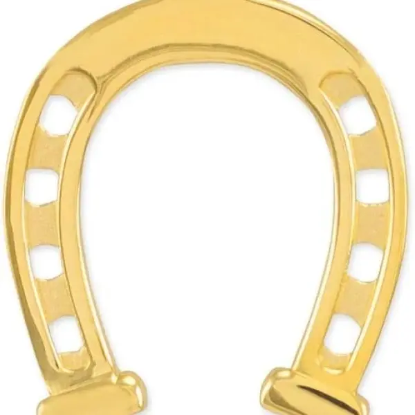 Solid 14k Yellow Gold Lucky Charm Horseshoe Pendant