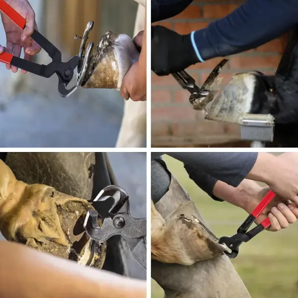Farrier Tools12 Pcs Horse Farrier Tools Labor Saving Hoof Trimming Care Tools for Horses Cattle Sheep and Donkeys