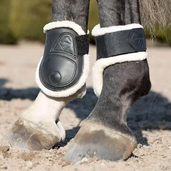 LeMieux Fetlock Horse Boots - Protective Gear and Training Equipment - Equine Boots, Wraps & Accessories